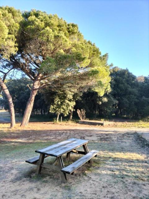 Les Salines Boyardville - Appart'Hotel Saint-Pierre-d'Oleron Zewnętrze zdjęcie