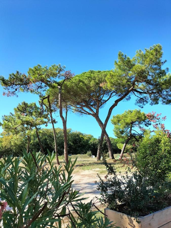 Les Salines Boyardville - Appart'Hotel Saint-Pierre-d'Oleron Zewnętrze zdjęcie
